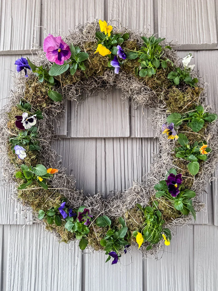 spring wreath made with living pansies and moss hanging on the outside of a house
