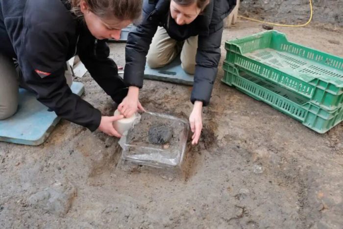 two archaeologists dig up a 2,000 year old loaf of roman bread from a site in switzerland