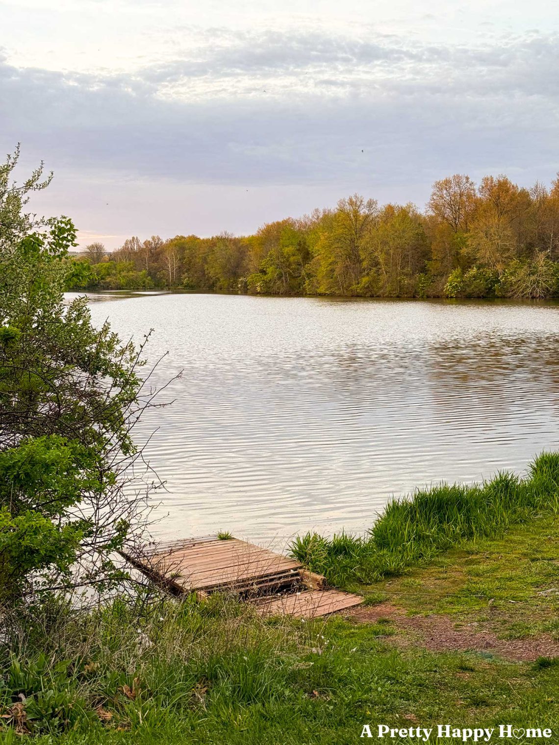 lake with a dock at sunset