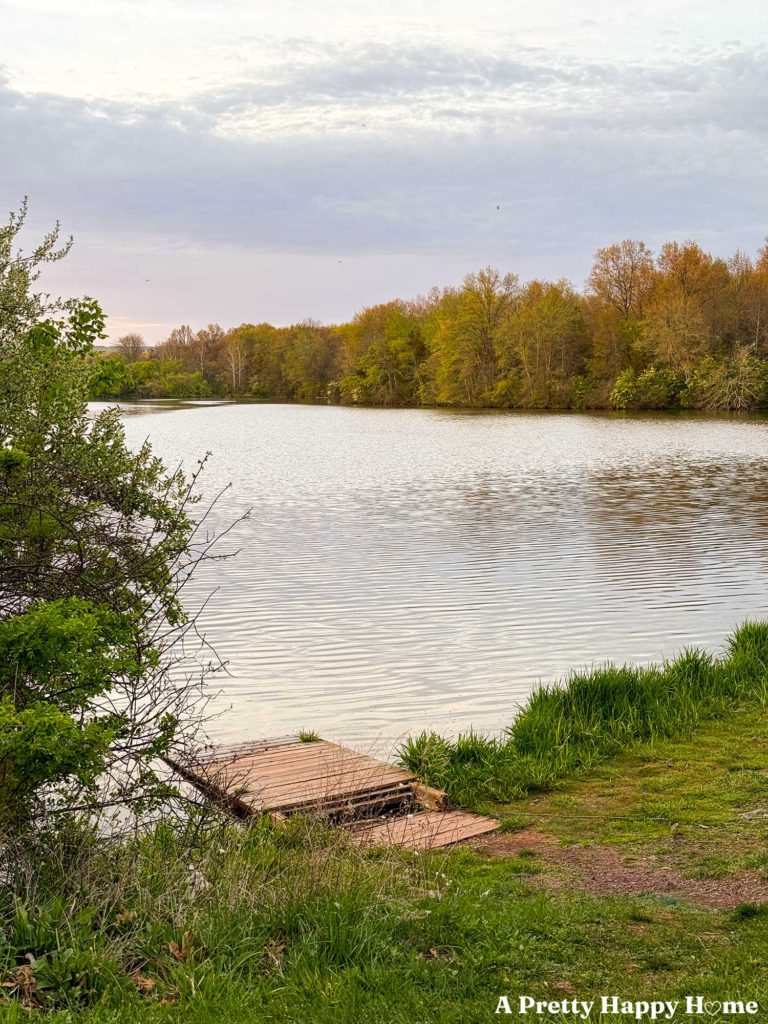 lake with a dock at sunset