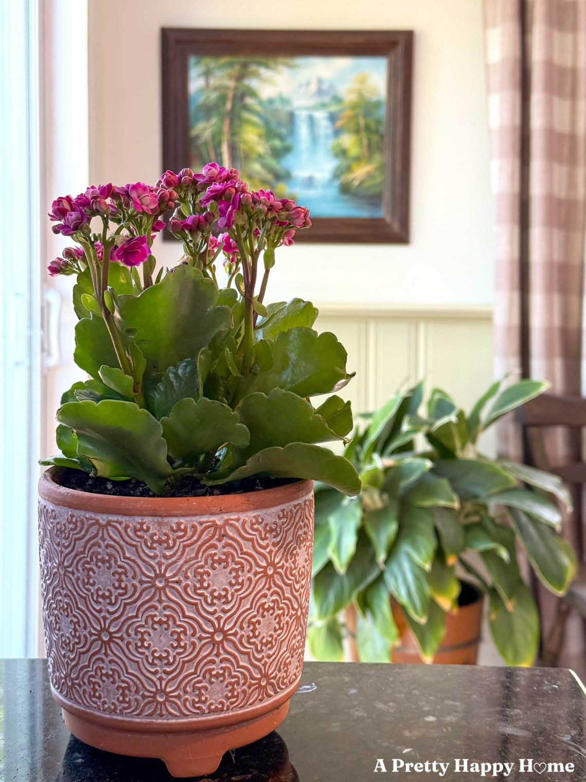 pink flowers plated in a terracotta pot with white details sit on a counter with a landscape painting, a plant, and buffalo check curtains in the background