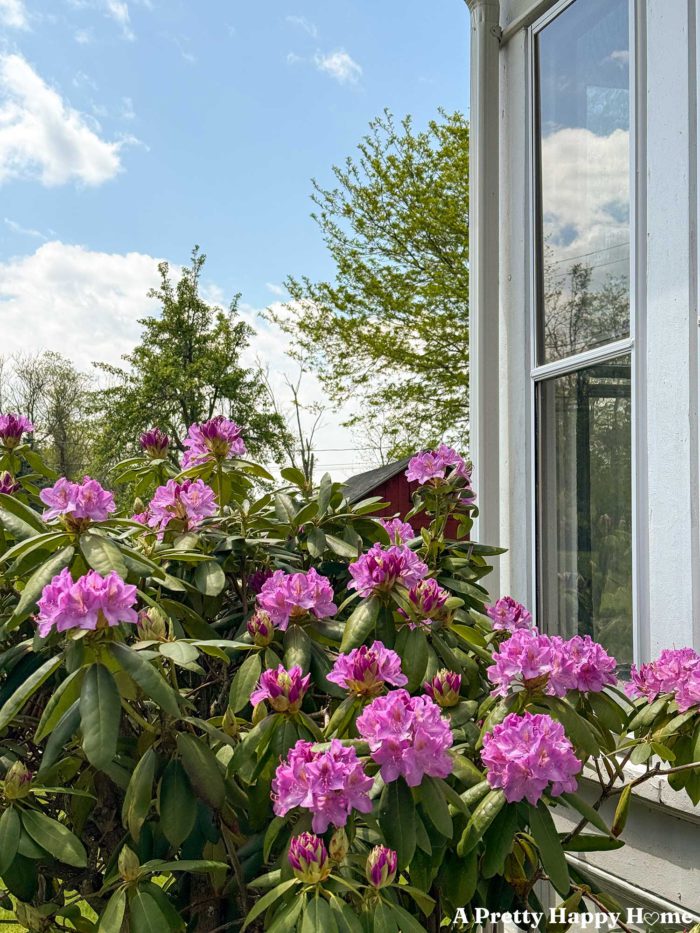 Happy List: #435  A Pretty Happy Home