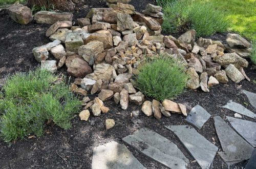 Pile of fieldstone rocks in a flower bed that have been demoed from a nearby low stone wall that will be reconstructed