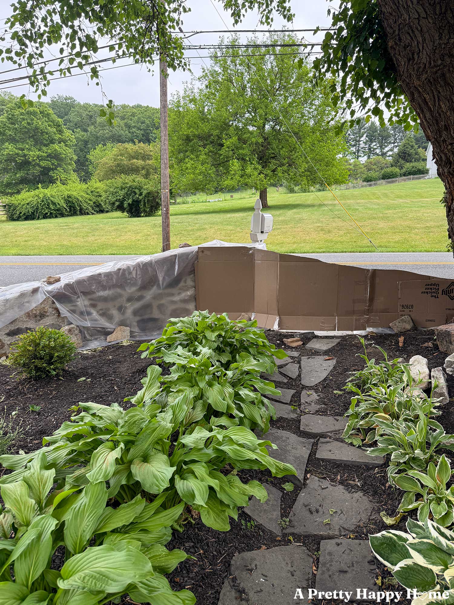 sloped stone wall covered in plastic while lime mortar cures and a cardboard guide is next to the wall to plan how to big the next section of wall