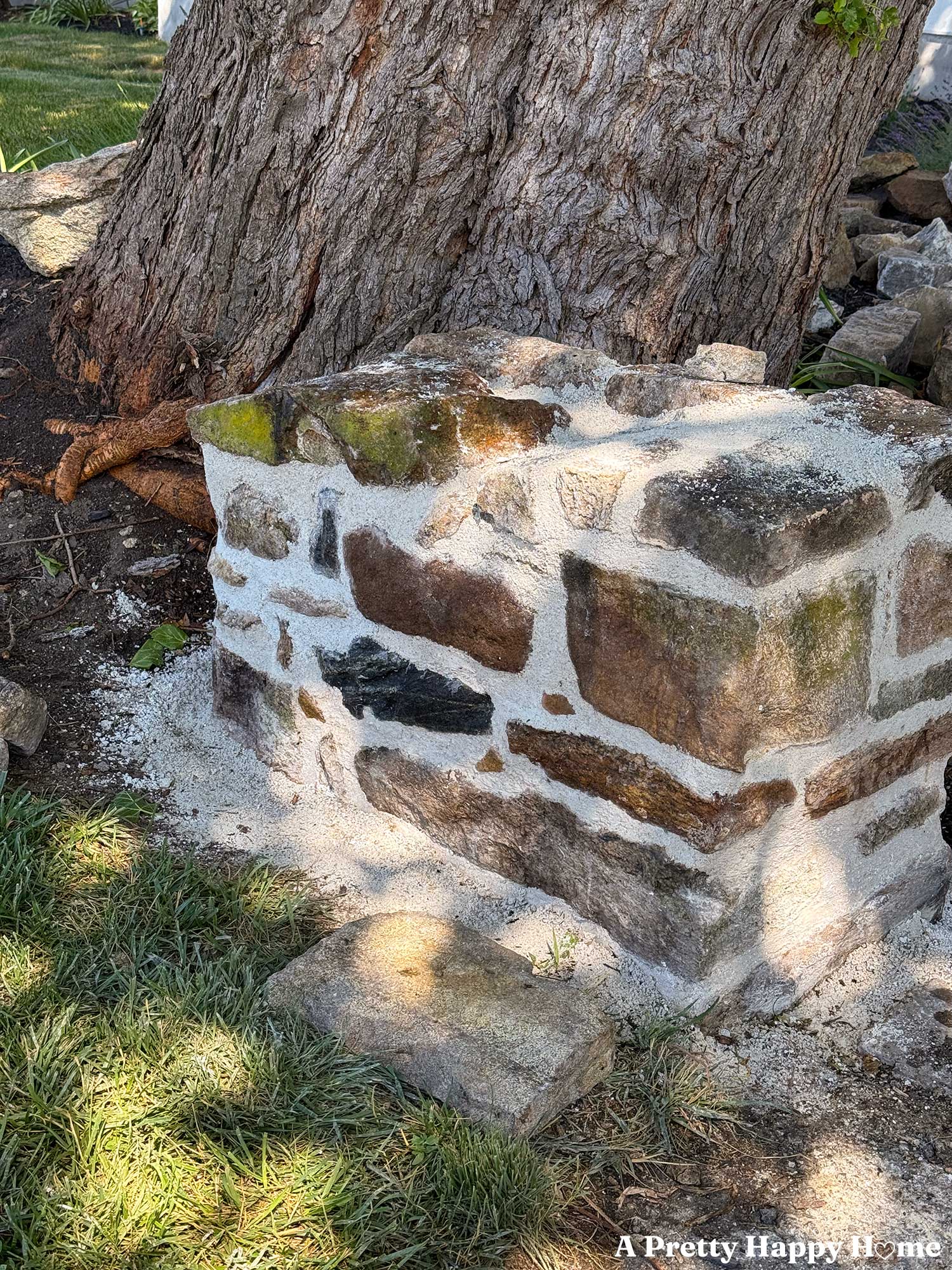 low stone wall in front of a tree that's being rebuild with lime mortar