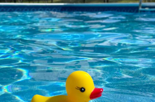 yellow rubber ducky floating in a swimming pool with blue water
