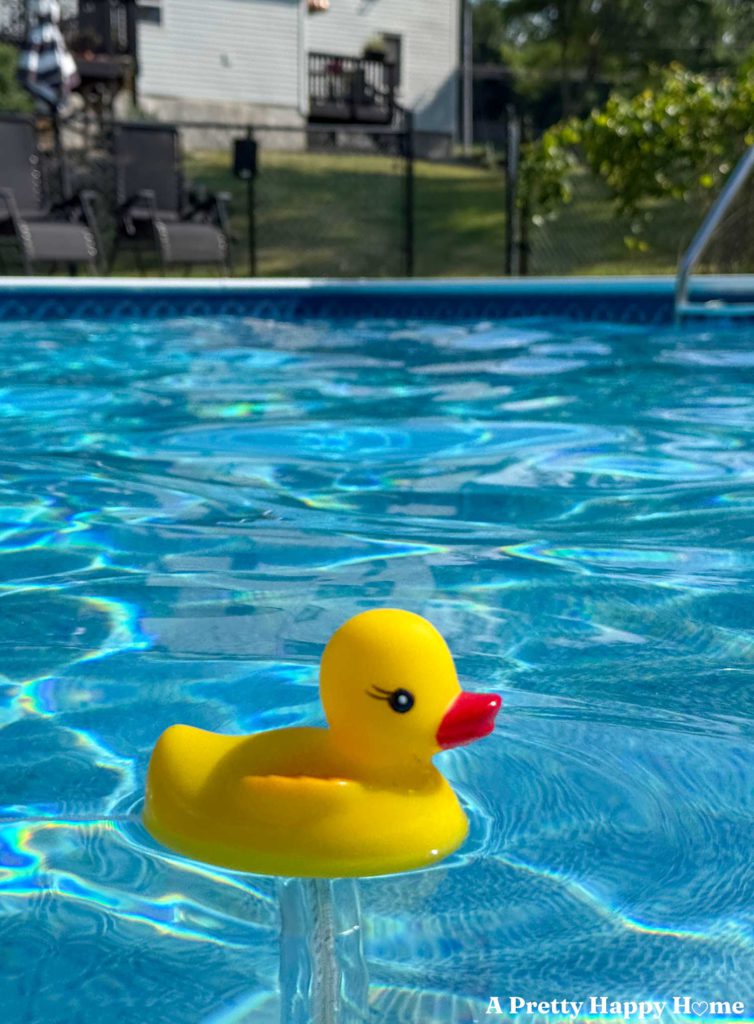 yellow rubber ducky floating in a swimming pool with blue water