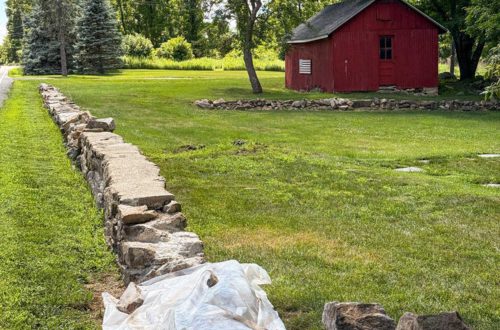 Old stone wall running through a grassy area with a red barn and trees in background. Wall is partially covered in plastic as it is being repaired.